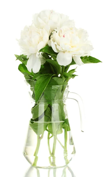 白で隔離される弓とガラスの瓶に美しい白牡丹 — ストック写真