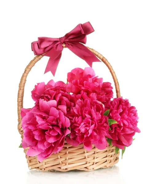 Belas peônias cor-de-rosa em cesta com arco isolado em branco — Fotografia de Stock