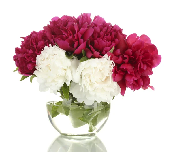 Mooie roze en witte pioenrozen in glazen vaas geïsoleerd op wit — Stockfoto