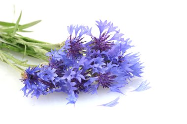 Peygamber üzerine beyaz izole