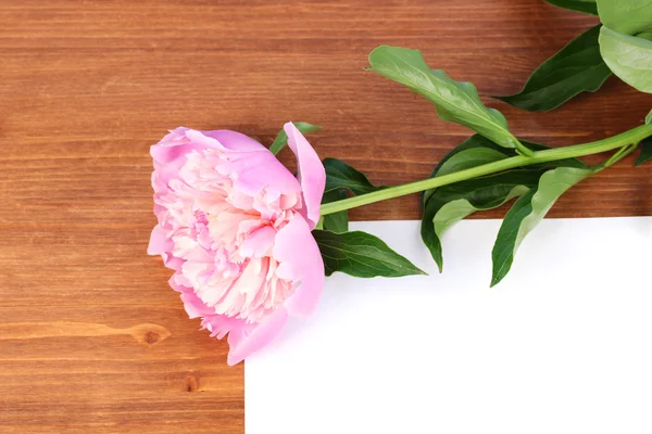 Розовый пион с открыткой на деревянном фоне — стоковое фото
