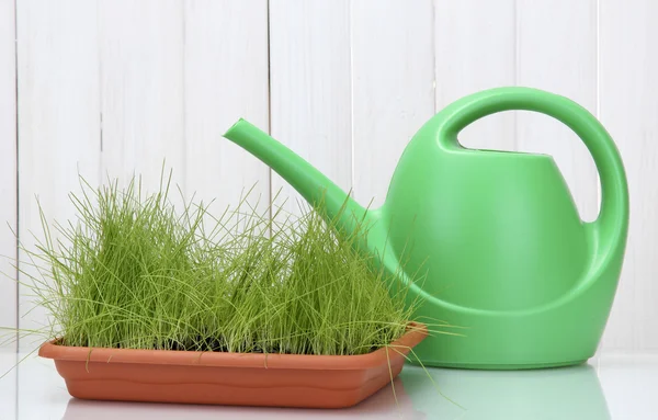 Green grass in a flowerpot and watering can on white wooden background — Stock Photo, Image