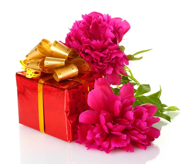 Beautirul rózsaszín ajándék és a pünkösdi rózsa virág elszigetelt fehér — Stock Fotó