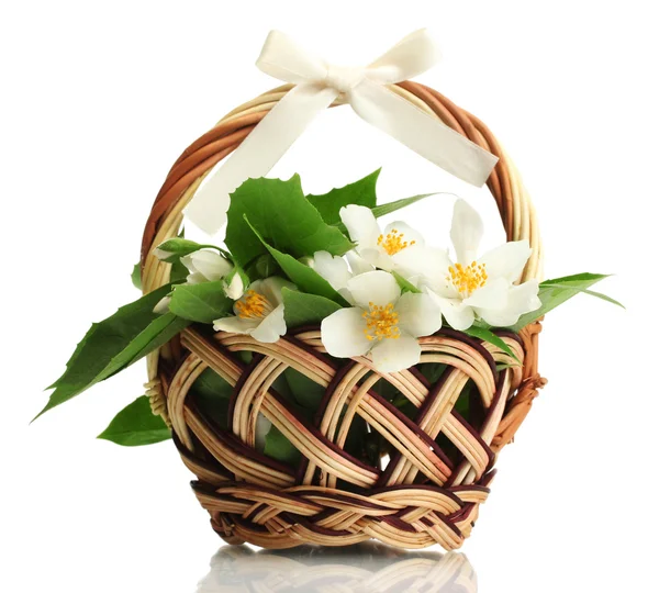 Beautiful jasmine flowers with leaves in basket, isolated on white — Stock Photo, Image