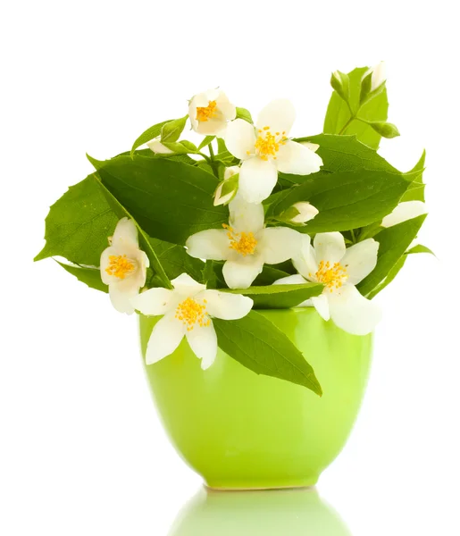 Beautiful jasmine flowers in green vase isolated on white — Stock Photo, Image