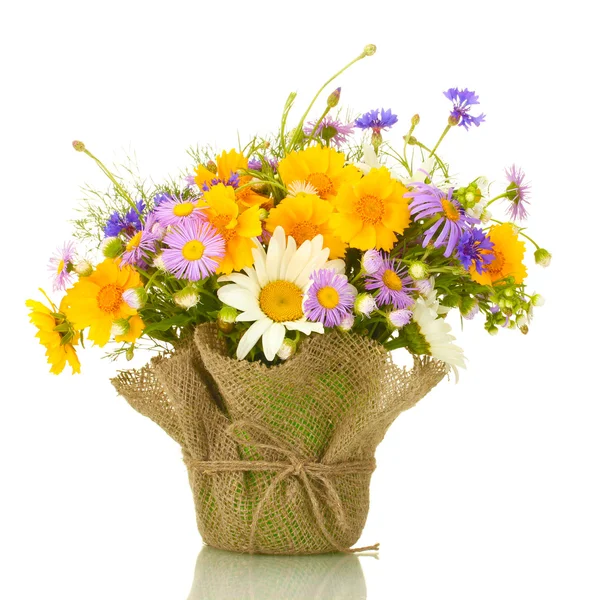 Красивый букет ярких полевых цветов в цветочном горшке, изолированные на белом — стоковое фото