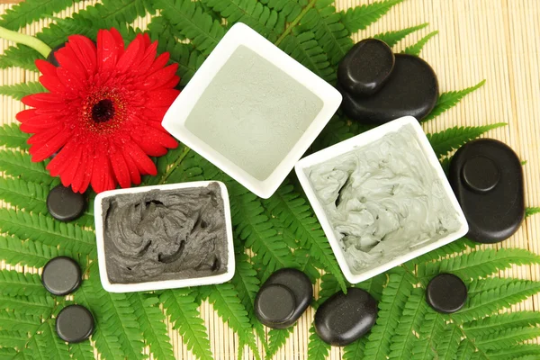 Kosmetiska lera för spa-behandlingar på halm bakgrund närbild — Stockfoto