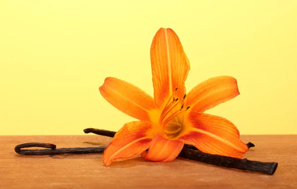 Vanilla pods with flower on yellow background — Stock Photo, Image