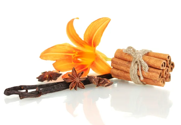 Baharat beyaz izole ile vanilya pods — Stok fotoğraf