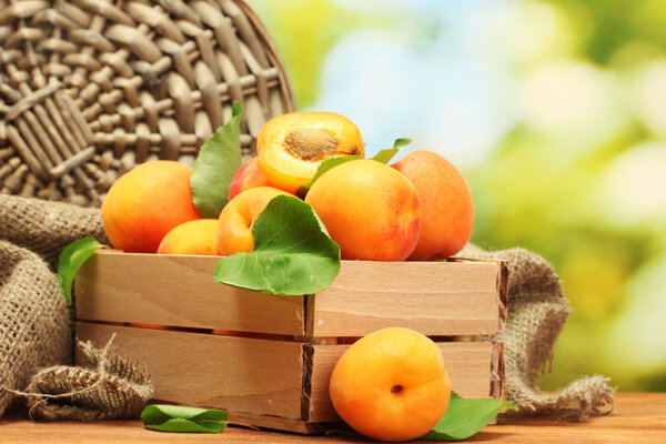 Ripe apricots with leaves in wooden box on wooden table on green background
