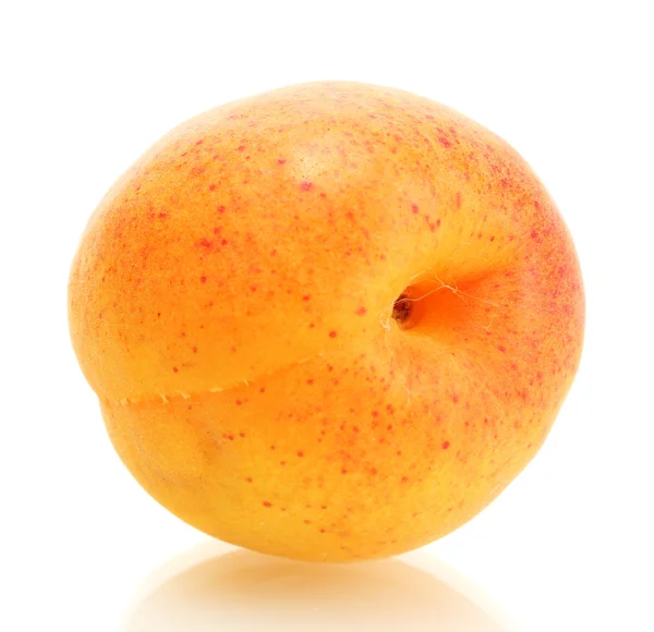 孤立在白色的成熟甜杏 — 图库照片