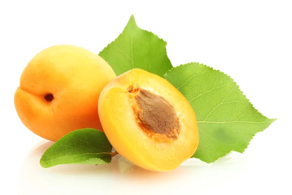 Ripe sweet apricots with green leaves isolated on white — Stock Photo, Image