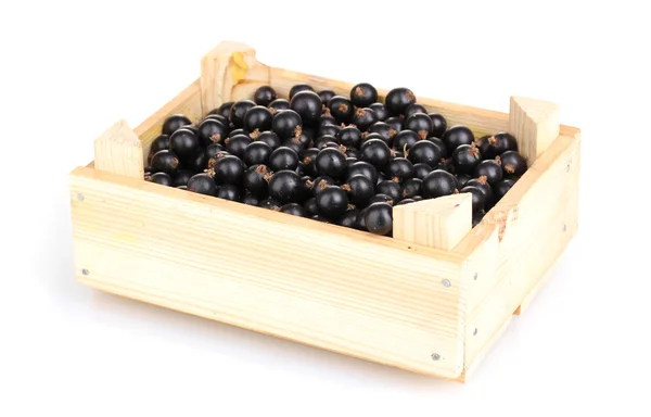 Black currant in crate isolated on white — Stock Photo, Image