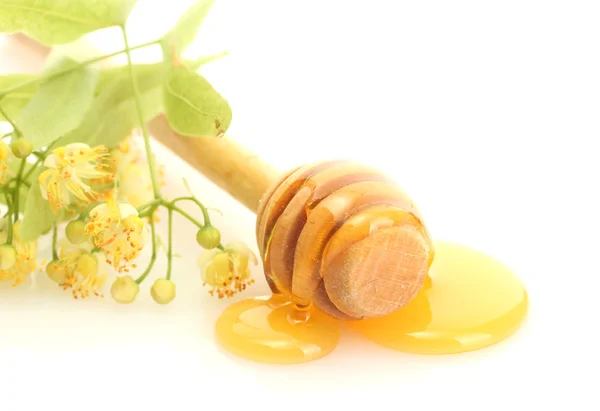 달콤한 꿀, 린든 꽃 흰색 절연 drizzler — 스톡 사진