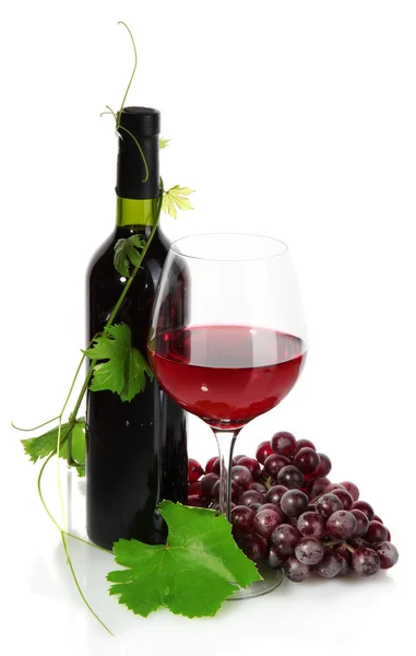 Bottle, glass of wine and ripe grapes isolated on white Stock Image