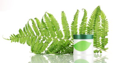 Jar of cream with branch of fern isolated on white clipart