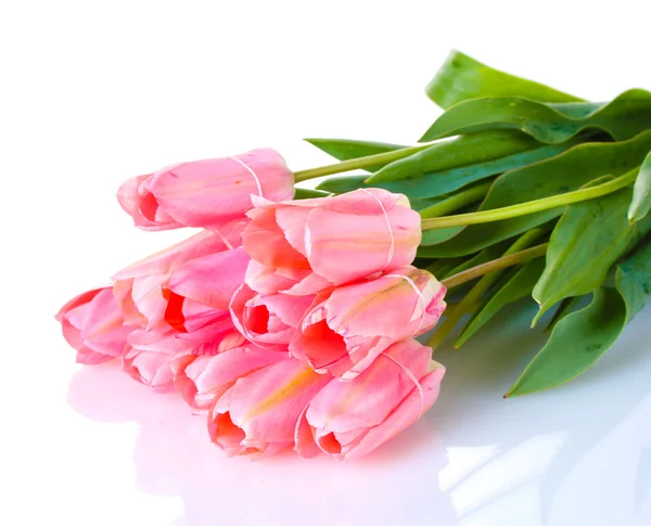 Красиві рожеві тюльпани ізольовані на білому — стокове фото