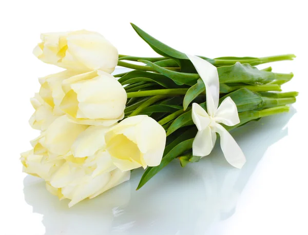 Indah tulip terisolasi pada putih — Stok Foto