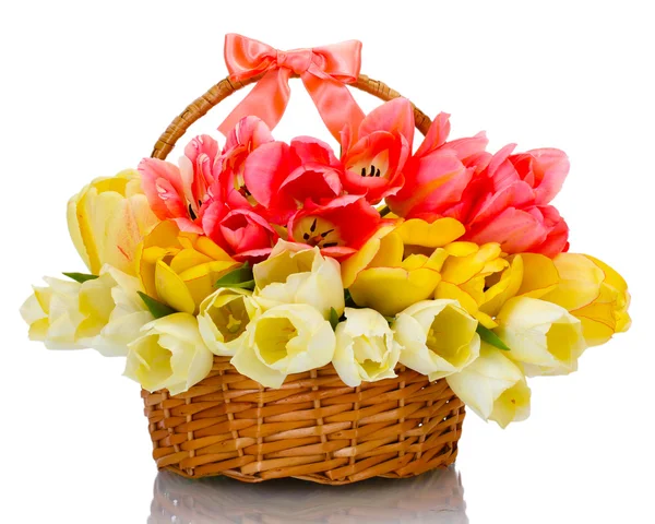 Hermosos tulipanes en cesta aislada en blanco — Foto de Stock