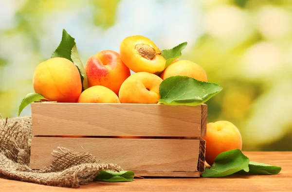 Ripe apricots with leaves in wooden box on wooden table on green background — Stock Photo, Image
