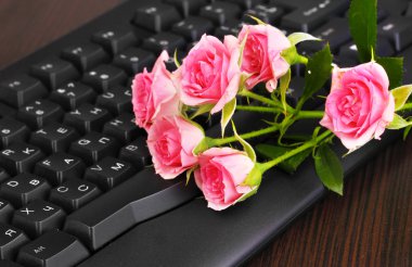 Pink roses on keyboard close-up internet communication