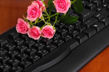 Pink roses on keyboard close-up internet communication