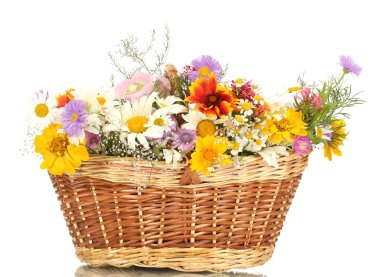 Beautiful bouquet of bright wildflowers in basket, isolated on white clipart