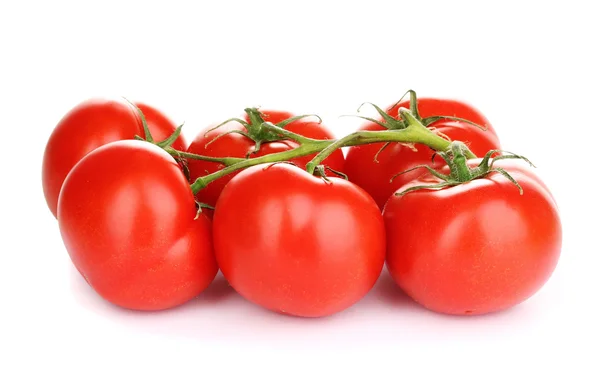 Verse tomaten op tak geïsoleerd op wit — Stockfoto