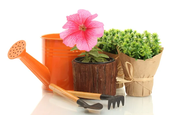 Konev, nástroje a rostliny v květináč izolovaných na bílém — Stock fotografie
