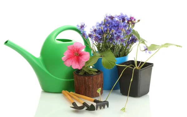 Regadera, herramientas y plantas en maceta aislada en blanco — Foto de Stock