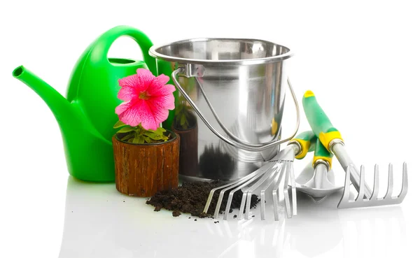 Arrosoir, seau, outils et plantes en pot isolé sur blanc — Photo