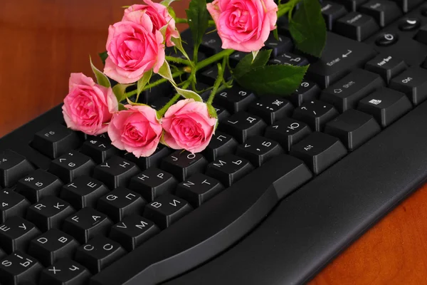 Pink roses on keyboard close-up internet communication — Stockfoto