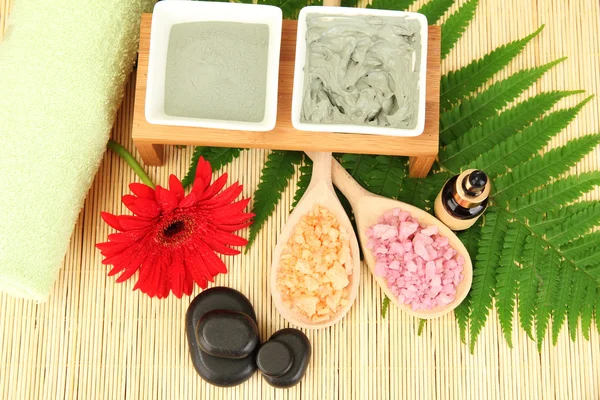 Cosmetische klei voor spa-behandelingen op stro achtergrond close-up — Stockfoto