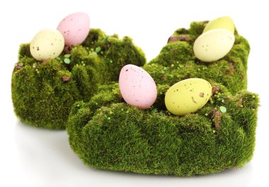 yumurta beyaz izole yeşil yosun