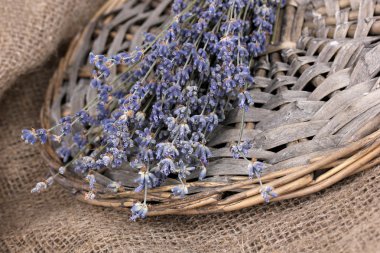 Lavender flowers on sackcloth