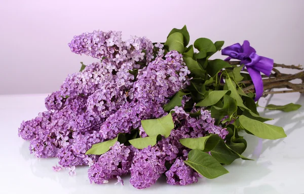 Krásné květy na fialovém pozadí — Stock fotografie