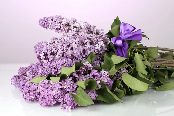 Beautiful lilac flowers on purple background — Stock Photo, Image