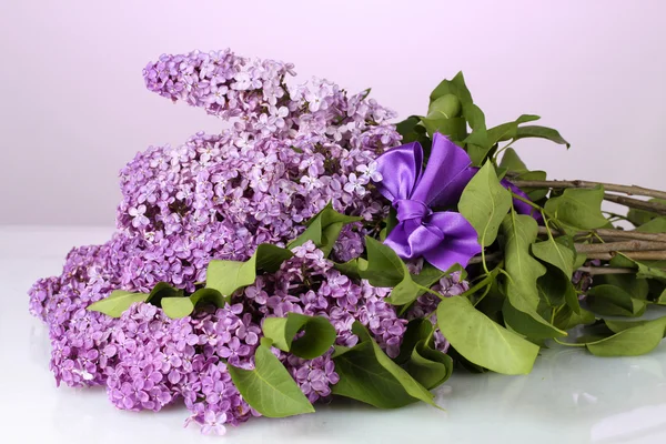 Mooie lila bloemen op paarse achtergrond — Stockfoto