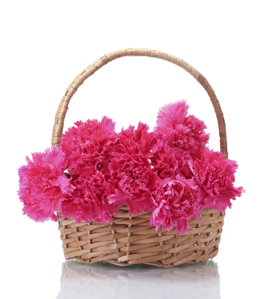 Hermosos claveles rosados en cesta aislada en blanco —  Fotos de Stock