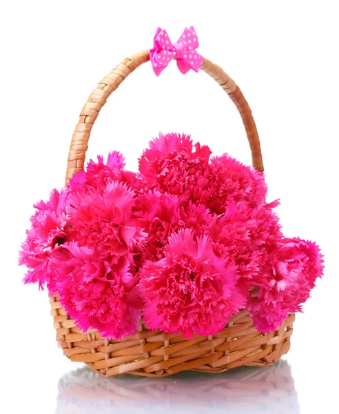 Hermosos claveles rosados en cesta aislada en blanco — Foto de Stock