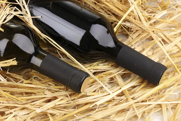 Пляшки великого вина на сіні — стокове фото