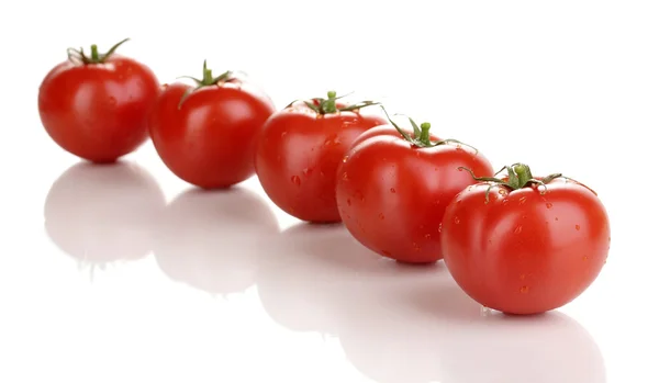 Tomates fraîches isolées sur blanc — Photo