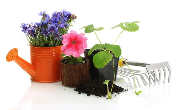 Watering can, tools and plants in flowerpot isolated on white — Stock Photo, Image