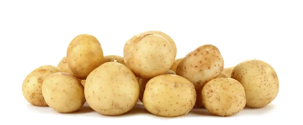 白で隔離される若いジャガイモ — ストック写真