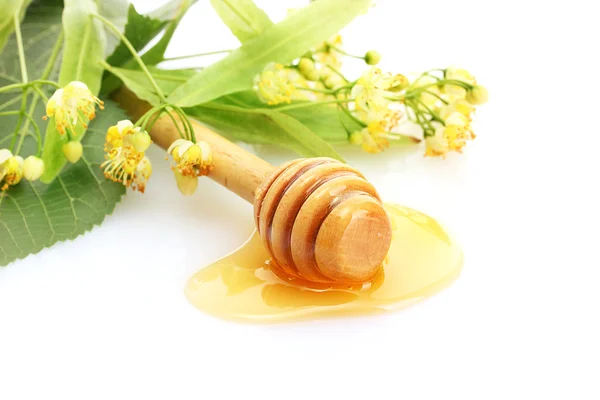 Drizzler med honung och linden blommor isolerad på vit — Stockfoto