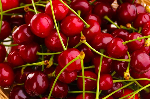 Ripe cherry berries close-up — Stock Photo, Image
