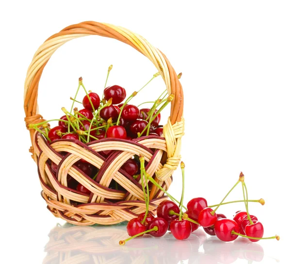 Bagas de cereja maduras em cesta isoladas em branco — Fotografia de Stock