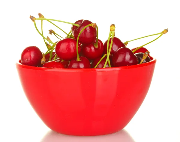 Cherry in a red bowl isolated on white — стоковое фото