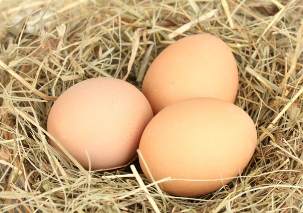 Brązowe jaja w gnieździe siana z bliska — Zdjęcie stockowe
