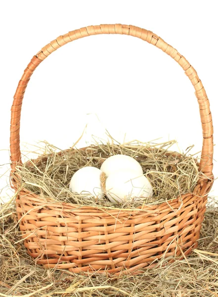 Weiße Eier in einem Weidenkorb auf Heu auf weißem Hintergrund Nahaufnahme — Stockfoto